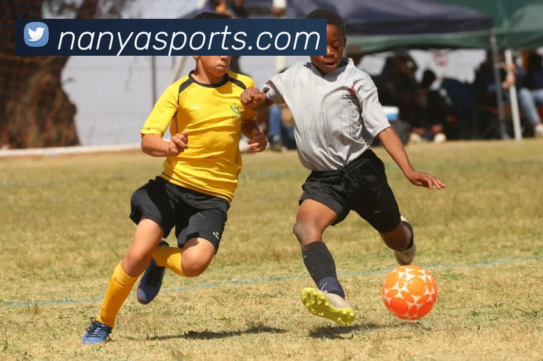 南亚体育资讯平台生态图